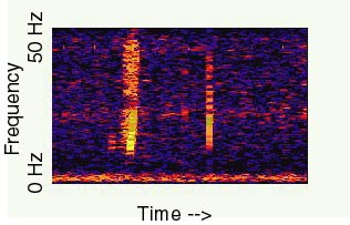 A spectrogram representing the sound of the bloop.
